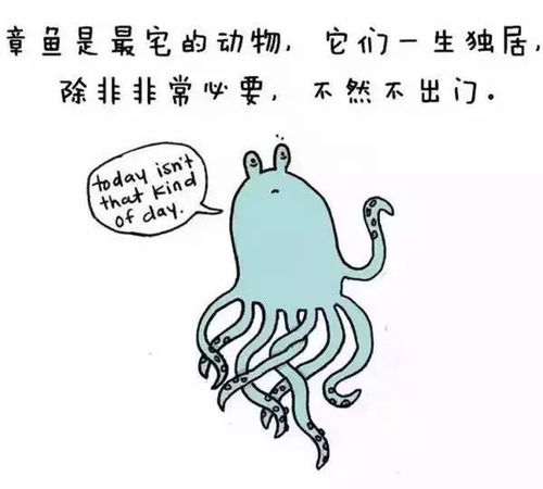 织女手温暗示何数字 1
