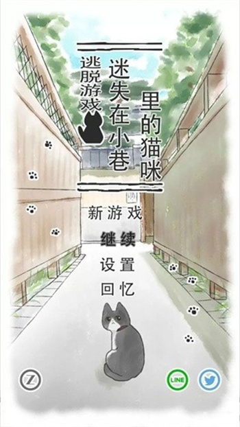 迷途猫 1