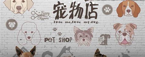 如何成功开设一家宠物店 2