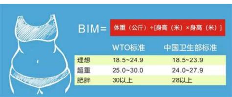 如何准确计算BMI指数 2