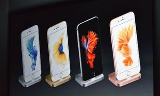 iPhone 6s vs iPhone 6：全面解析配置差异，看哪款更适合你！ 3