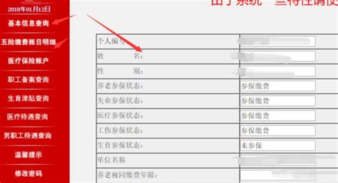 合肥市社保个人查询指南 4