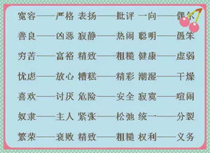 解析'茎'的含义：同义词、反义词及英文翻译 2