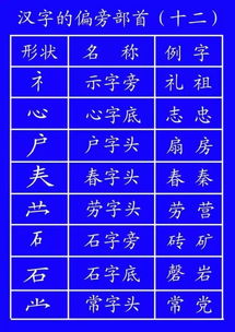 书写'舍'字的笔顺及其部首 2