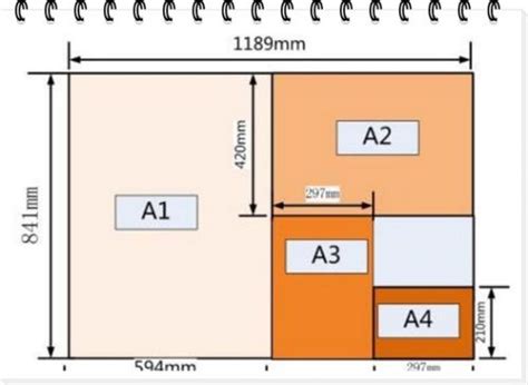 A2纸尺寸是多少？和两张A3纸一样大吗？ 2