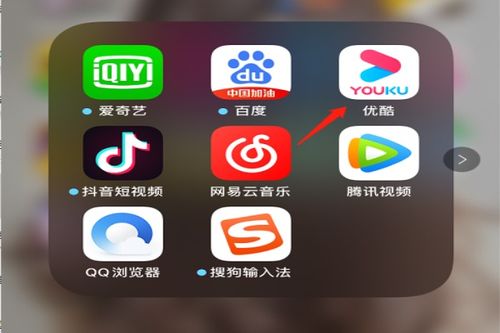 优酷APP中轻松找回你的账号秘籍 3