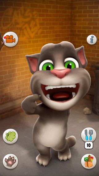 解锁“会说话的汤姆猫”游戏秘籍：全面掌握与汤姆猫的互动技巧 2