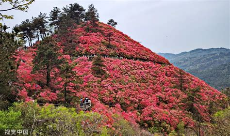 高效探索：10分钟解锁优质软件新体验 2