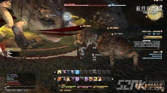 《FF14：水晶纪元 风脉泉详尽坐标指南》 4