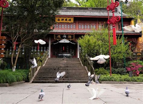 揭秘：佛家所说的“三界众生”究竟指的是哪些生命形态？ 2