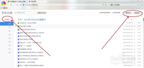 360极速浏览器搜索与查看历史记录的方法 3