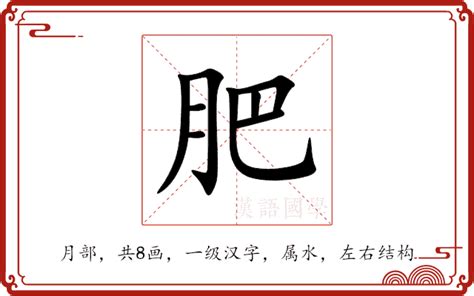 揭秘“肥”的多重含义，你了解多少？ 2