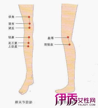 哪些腿部穴位你必须知道？全面图解腿部穴位名称大全 3