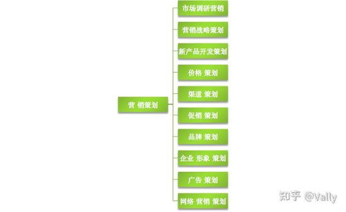 打造吸引人的营销策划方案：撰写指南与创意秘籍 2