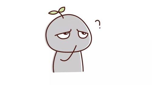 我的身份是什么？ 3
