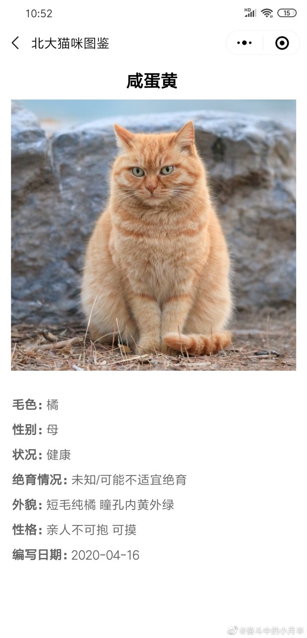北大猫咪图鉴 截图3