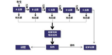 揭秘平行志愿录取机制：你的未来如何被“平行”决定？ 2