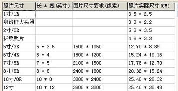 4寸尺寸参照物详解：日常物品对比示例 3