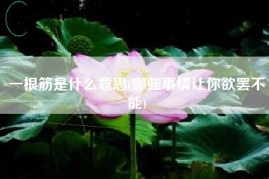 揭秘：什么是“一根筋”性格？ 3