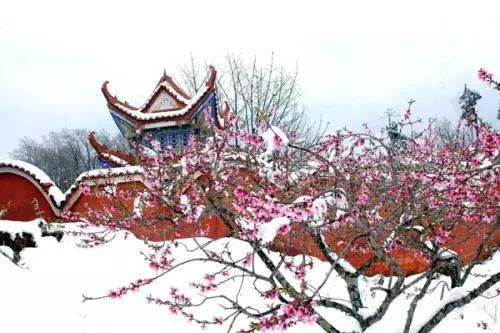 刘禹锡描写桃花的诗句有哪些？ 4