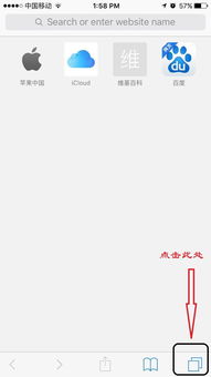 揭秘：轻松开启苹果iPhone Safari无痕浏览模式！ 2