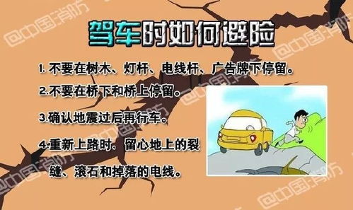 地震来袭，掌握科学逃生方法守护生命安全 1