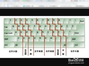 打字时手指应如何正确放置及定位？ 1