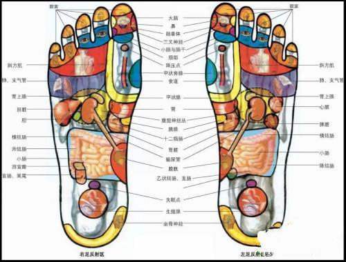 探秘人体：详尽部位图解指南 2