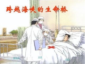 揭秘“跨越海峡的生命桥”：生命桥的真正含义是什么？ 2