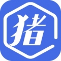 猪病诊疗助手