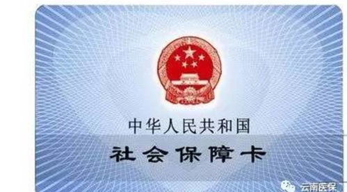 社保卡实用指南：全面掌握使用技巧 3