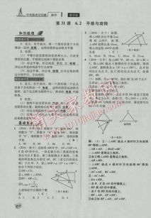 碳碳岛攻略：全面解析与答题必备指南 2