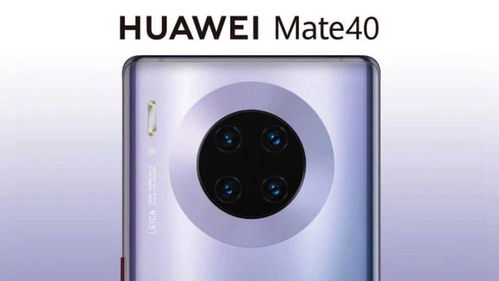 怎样快速又简单地卸载华为Mate40上的WiFi精灵？ 3