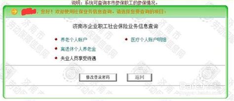 济南人社社保查询全攻略 3