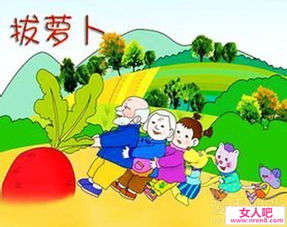 揭秘：“拔萝卜”背后的趣味含义是什么？ 3
