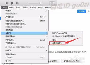 iTunes如何备份和恢复数据？图解操作步骤 3