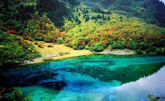 上海至九寨沟绝美旅行攻略，不容错过的精彩指南！ 1