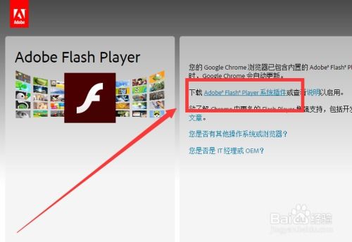 如何使Chrome支持已过期的Flash Player 3