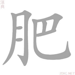 揭秘“肥”的多重含义，你了解多少？ 4