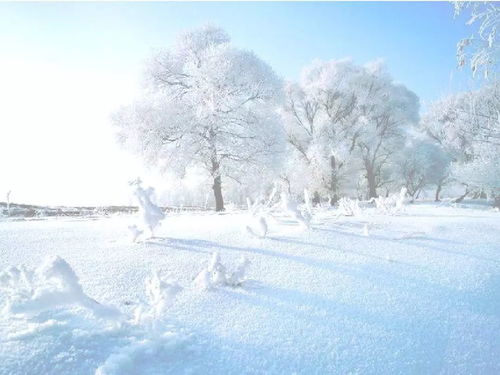 揭秘：雪花的奇妙诞生之旅 2