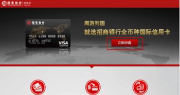 如何办理国际信用卡Visa？ 1