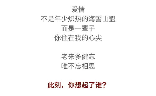 记忆中的裂痕：你忘了我，我却铭记于心 2