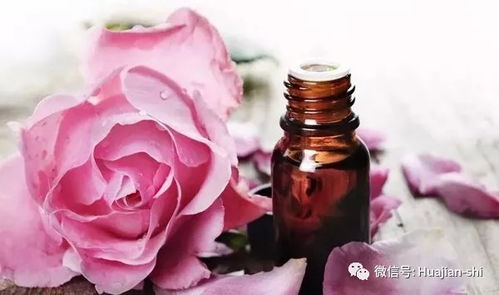 玫瑰精油面部使用秘籍 3