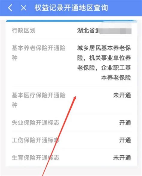 如何通过12333查询个人社保信息？ 2