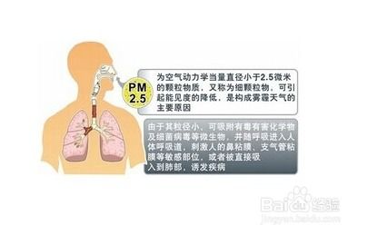 PM2.5是什么，它有哪些危害？ 3