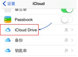 轻松解锁iCloud Drive：开启方法全攻略 1