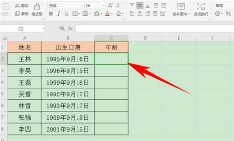 Excel中轻松掌握计算年龄的技巧 2