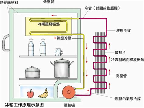 电冰箱运作机制详解 4