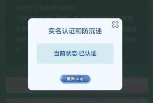 盛大游戏实名认证与防沉迷注册系统 2