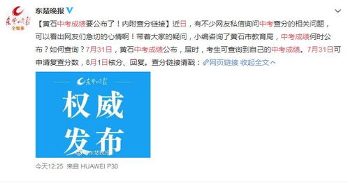 揭秘：轻松几步，在黄石市教育网查询中考成绩 2
